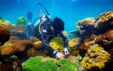 Ấn tượng cuộc thi ảnh 'Đất nước nhìn từ biển' 