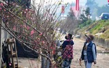 Đào Nhật Tân xuống phố 