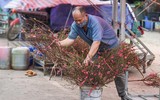 Đào Nhật Tân xuống phố 