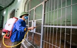 Chuyện những người chăm sóc chúa sơn lâm