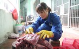 Chuyện những người chăm sóc chúa sơn lâm