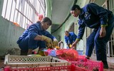 Chuyện những người chăm sóc chúa sơn lâm