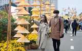 Người Hà Nội du xuân vui tươi, bình an