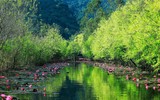 Chùa Hương tĩnh lặng qua những góc nhìn riêng