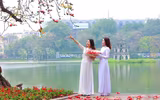 Hà Nội mùa hoa gạo 