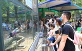 Du lịch Hà Nội tăng trưởng mạnh mẽ dịp nghỉ lễ