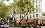 Sắc đỏ hoa phượng tô điểm phố phường Hà Nội 