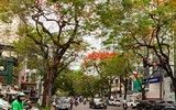 Sắc đỏ hoa phượng tô điểm phố phường Hà Nội 