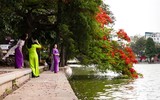 Sắc đỏ hoa phượng tô điểm phố phường Hà Nội 