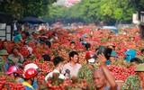 Nhộn nhịp mùa vải thiều 