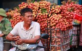Nhộn nhịp mùa vải thiều 