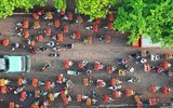 Nhộn nhịp mùa vải thiều 