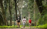 Rực rỡ sắc màu Thành cổ Sơn Tây 