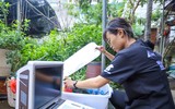 Cứu hộ thành công cá thể gấu tại Hà Nội