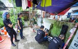 Cứu hộ thành công cá thể gấu tại Hà Nội