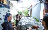Cứu hộ thành công cá thể gấu tại Hà Nội