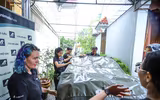 Cứu hộ thành công cá thể gấu tại Hà Nội