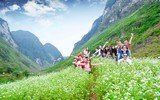 Thủ đô Hà Nội - top 10 điểm đến khám phá Việt Nam 