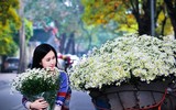 Người Hà Nội háo hức đón mùa “họa mi” xuống phố