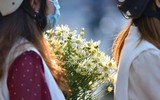 Người Hà Nội háo hức đón mùa “họa mi” xuống phố