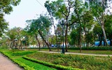 Diện mạo mới của Công viên Thống Nhất