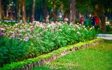 Diện mạo mới của Công viên Thống Nhất
