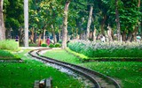 Diện mạo mới của Công viên Thống Nhất