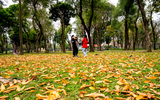 Diện mạo mới của Công viên Thống Nhất