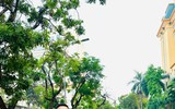 Mang yêu thương đến với bệnh nhân nghèo