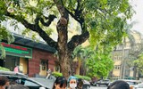 Mang yêu thương đến với bệnh nhân nghèo