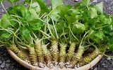 Loại củ trồng 2 năm mới được thu hoạch, giá đắt nhất thế giới