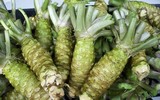 Loại củ trồng 2 năm mới được thu hoạch, giá đắt nhất thế giới