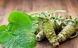 Loại củ trồng 2 năm mới được thu hoạch, giá đắt nhất thế giới