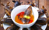 Côn trùng kỳ dị của Việt Nam có trong món ngon nức tiếng, không dễ nhiều người mua được
