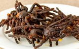 10 món ăn kinh dị, dù sợ nhưng vẫn muốn được thưởng thức