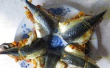 Độc lạ loài cá biết bay chỉ có ở vùng biển miền Trung, Việt Nam