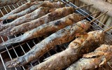 Loài cá kỳ lạ nhất hành tinh, chạy được trên cạn, là đặc sản nức tiếng