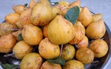 Những trái cây tuổi thơ, giờ ít gặp, ít người được ăn 
