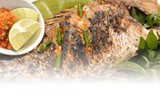 Loại cá ở Việt Nam, tên vô cùng đáng sợ nhưng quý hiếm, đắt đỏ