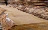 Loại gỗ cho ra rượu có chất lượng thơm ngon, hảo hạng