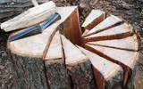 Loại gỗ cho ra rượu có chất lượng thơm ngon, hảo hạng