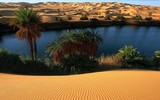 Hồ nước đẹp như trong truyện cổ tích, ẩn mình giữa lòng sa mạc Sahara