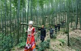 Bất ngờ với loại rượu thơm ngon, tinh khiết từ trong ống cây tre