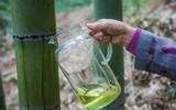 Bất ngờ với loại rượu thơm ngon, tinh khiết từ trong ống cây tre