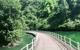 Kỳ lạ, cầu gỗ nổi giữa sông chịu được sức nặng 10.000 người, dù không có trụ chống