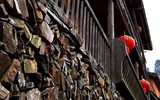 Ngôi làng kỳ lạ, không có muỗi suốt 100 năm qua