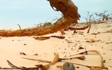 Sa mạc độc đáo, đẹp nhất thế giới, nơi có những con cá 