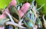 Đặc sản “chân dài” là món ăn 