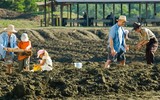 Nơi du khách được tự do đào kim cương với chỉ gần 250.000 đồng phí vào cửa