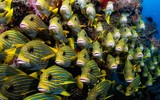 Trải nghiệm tại 